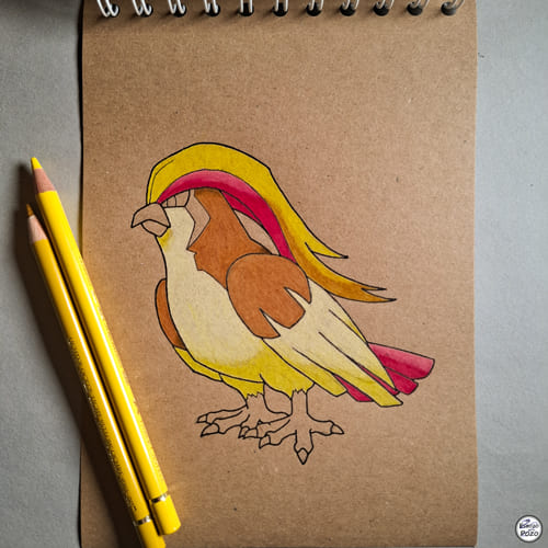 Dibujo Pokemon Pidgeot