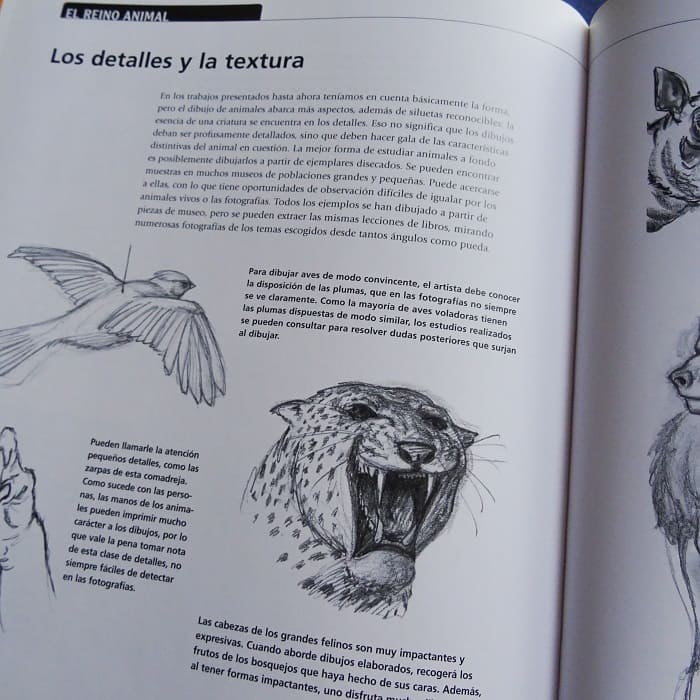 Aprende a dibujar - Peter Grey